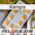 Kamgra cialis3